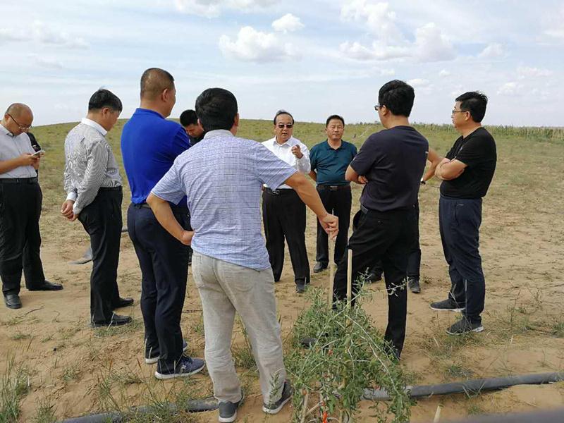 �������쳤һ�е��������ֲ��ҵ