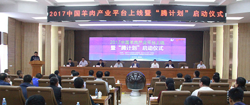 2017�й������ҵƽ̨�����ߡ��ڼƻ���������ʽ�ڶ���