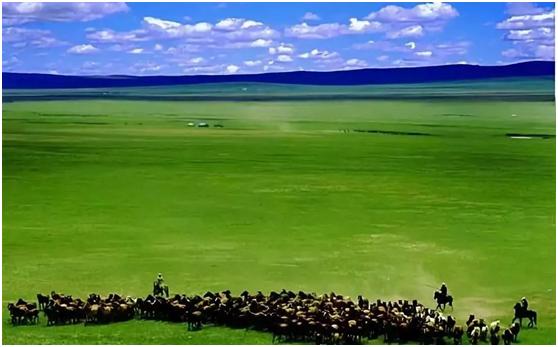 内蒙古不只有草原——游走大美内蒙古(上)-10.jpg